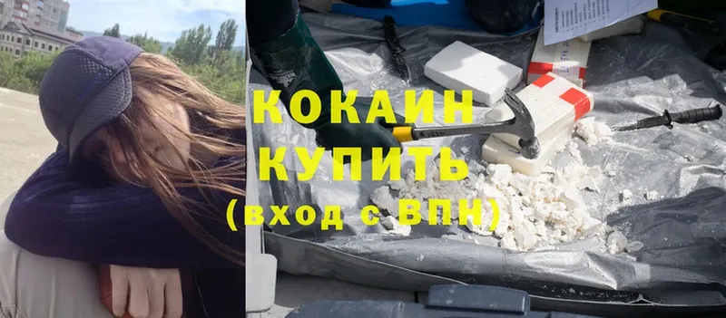 Cocaine Fish Scale  магазин    Кисловодск 